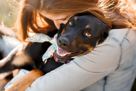 Uma moça ruiva abraçando um cachorro preto e marrom. Como ser um protetor de animais independente.